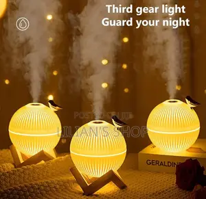Portable Mini Luxurious Humidifier