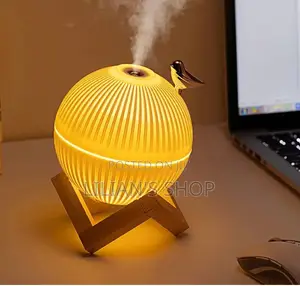 Portable Mini Luxurious Humidifier