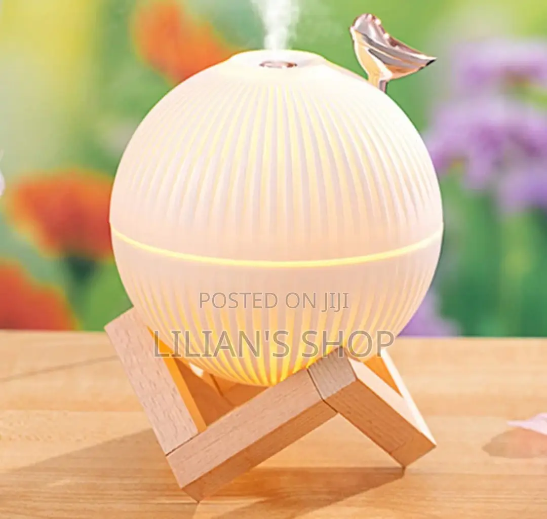 Portable Mini Luxurious Humidifier