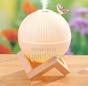 Portable Mini Luxurious Humidifier