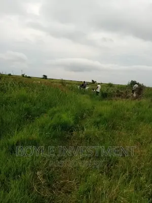 100acres at Nakasongola Lukoge
