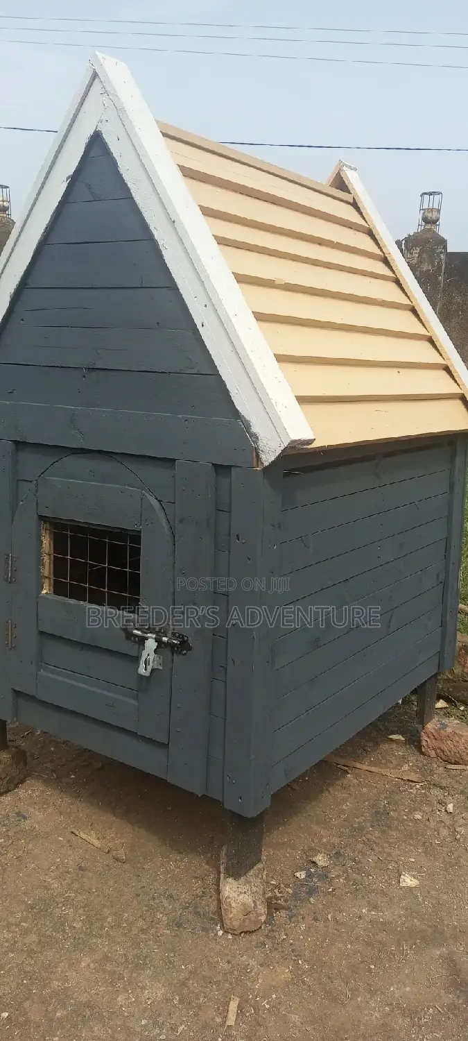 Xx Single Door Kennel