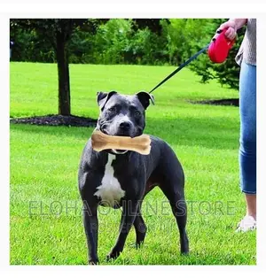 Bitting Dog Play Toy