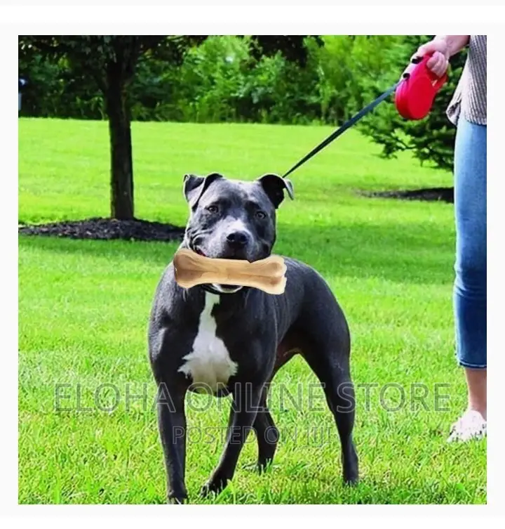 Bitting Dog Play Toy