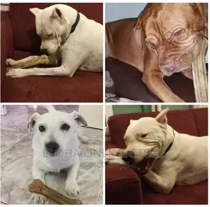 Bitting Dog Play Toy