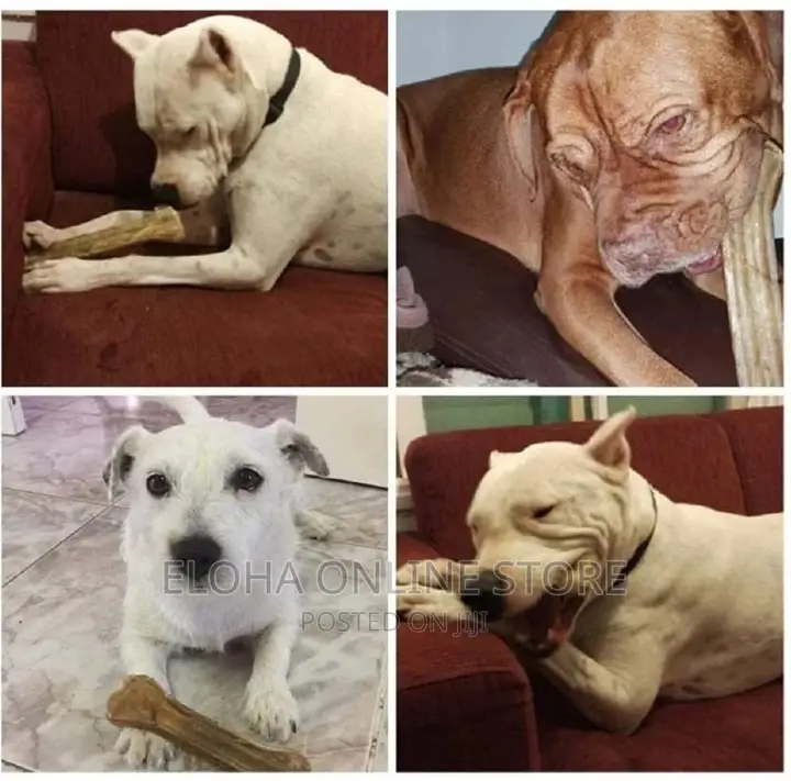 Bitting Dog Play Toy
