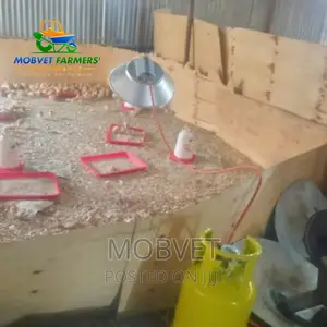 Gas Brooder 2