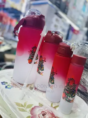 4 in 1 Water Bottle