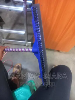 Squeezer With Brush