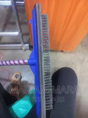 Squeezer With Brush