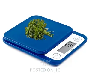 Digital Weighing Food Scale