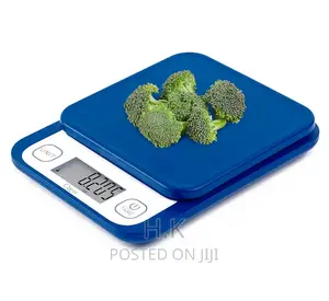Digital Weighing Food Scale