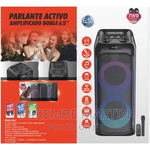 Global Star Double 6.5 Inch Trolley 100watts Speaker