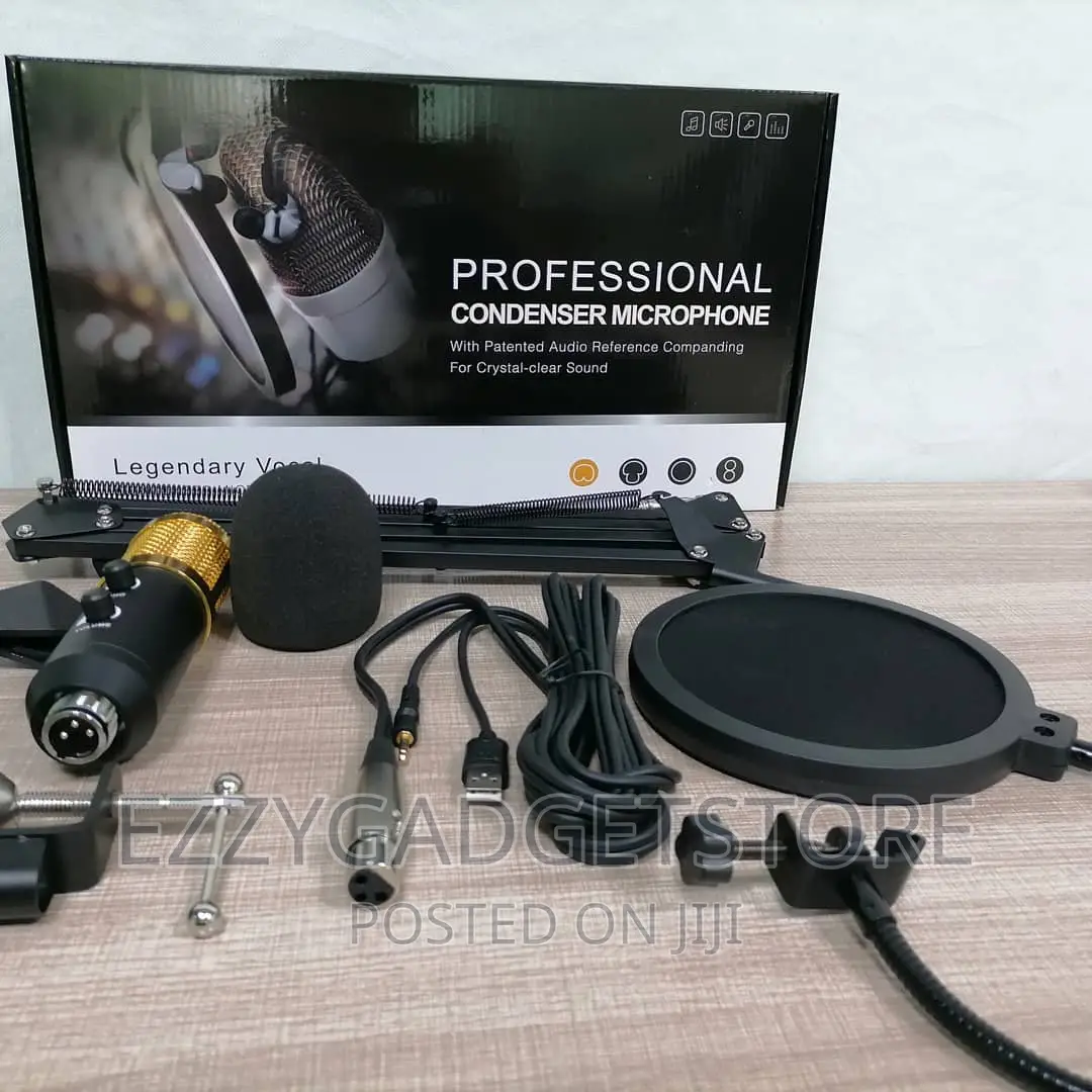 Original Professional Condensor Stage Microphone Sound Card