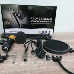Original Professional Condensor Stage Microphone Sound Card