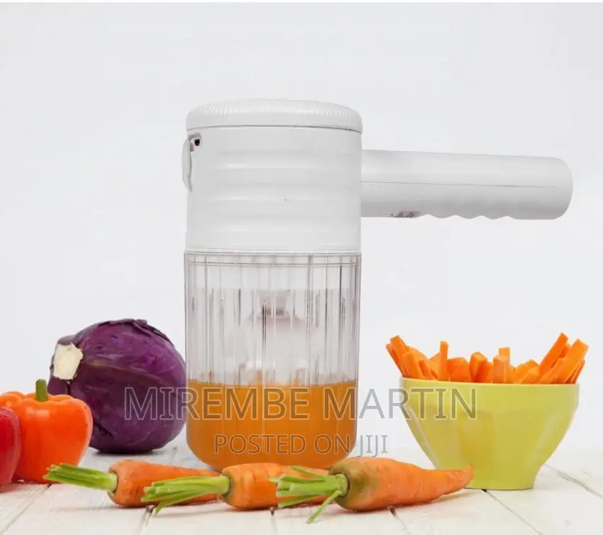 Portable Multi-Functional Mixer or Grinder