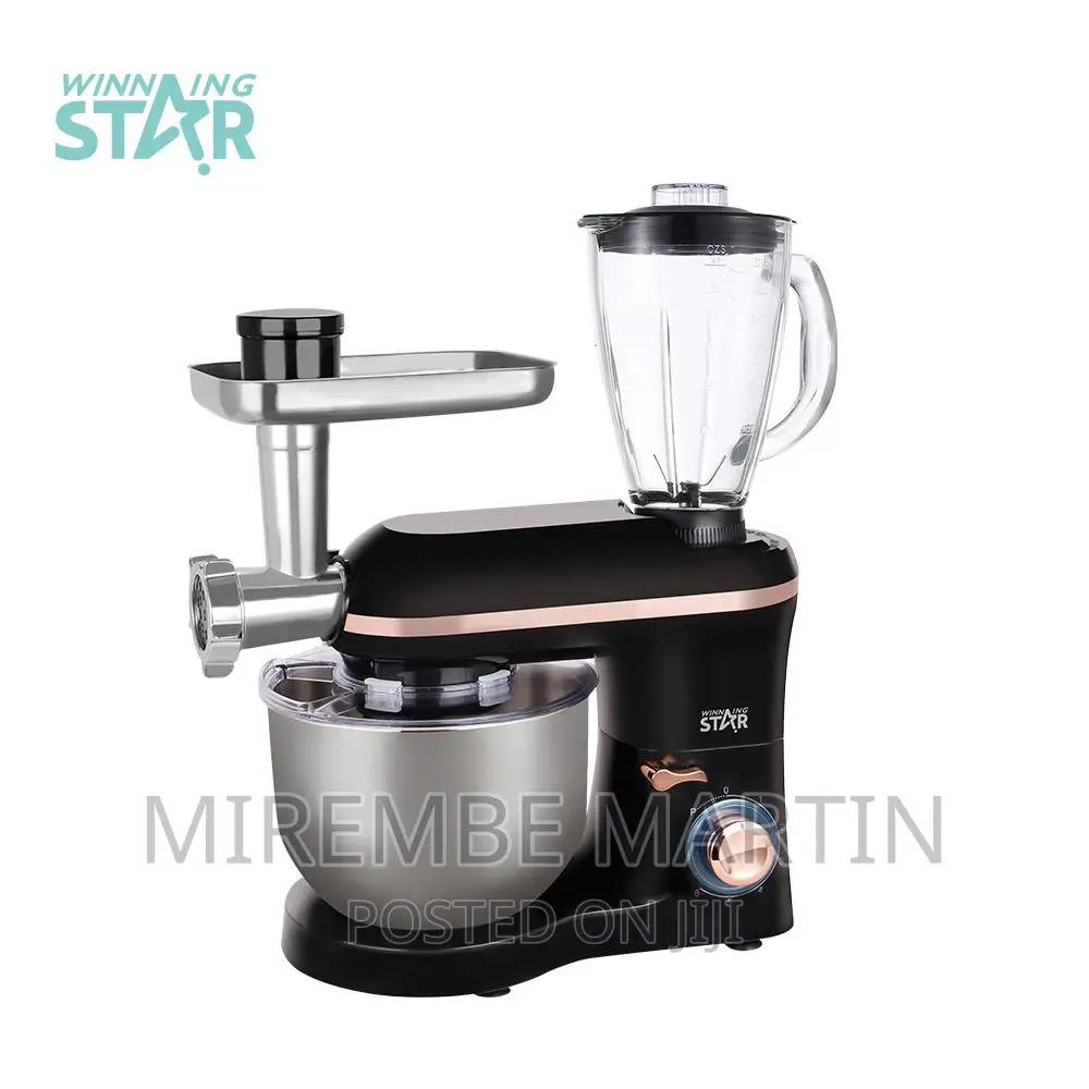 3 in 1 WINNING STAR 5.5L 5speed Stand Mixer