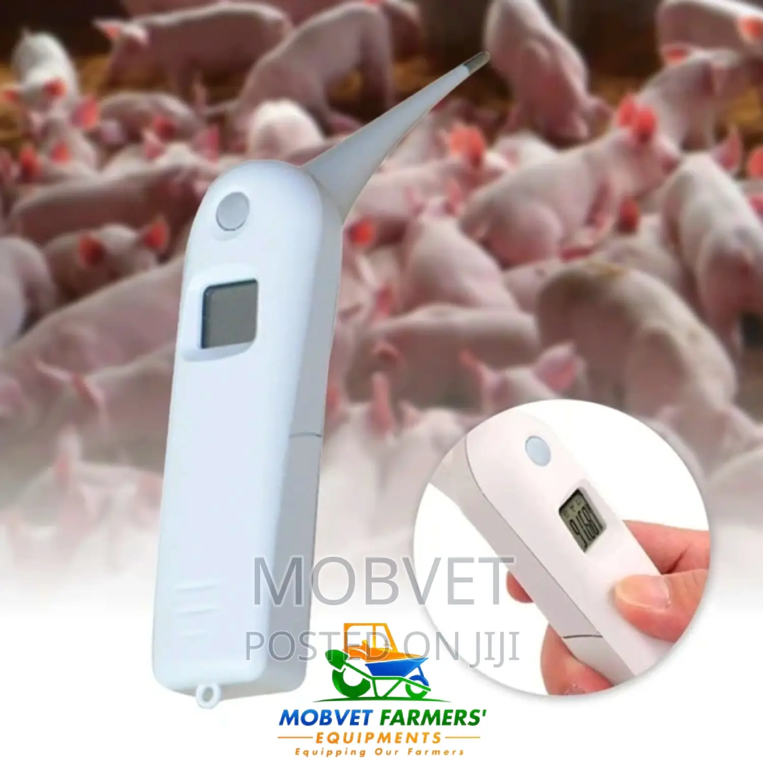 Veterinary Thermometer I