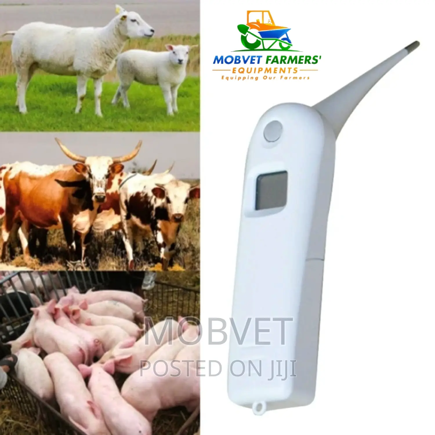 Veterinary Thermometer I
