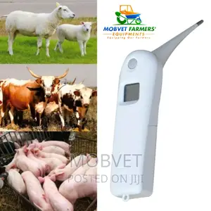 Veterinary Thermometer I
