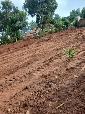 Very Beautiful Plots on Quicksale in Heart of Najjanankumbi
