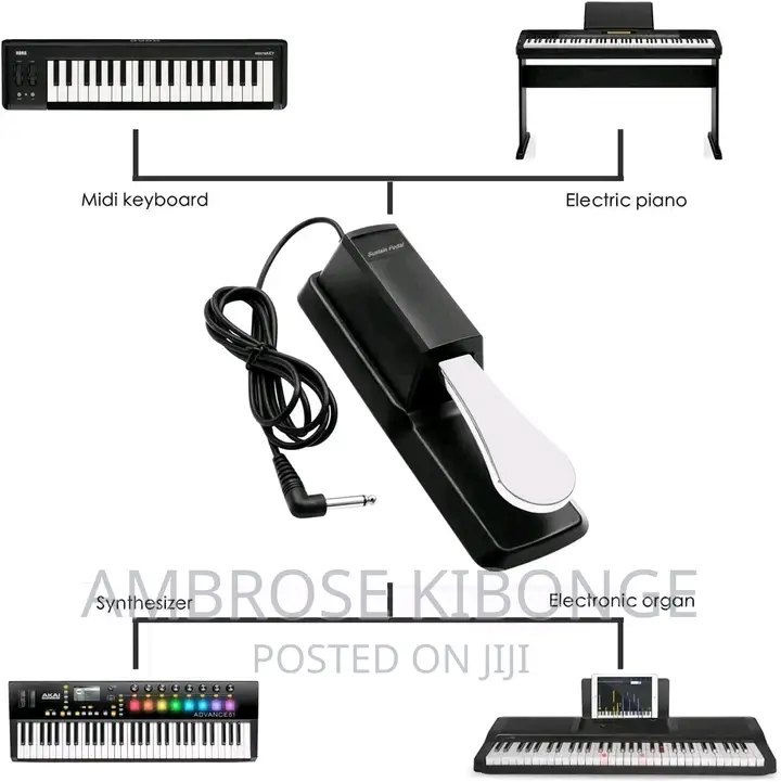 Clear Sound Quality Universal Piano/Keyboard Sustain Pedal.