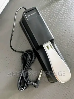 Clear Sound Quality Universal Piano/Keyboard Sustain Pedal.