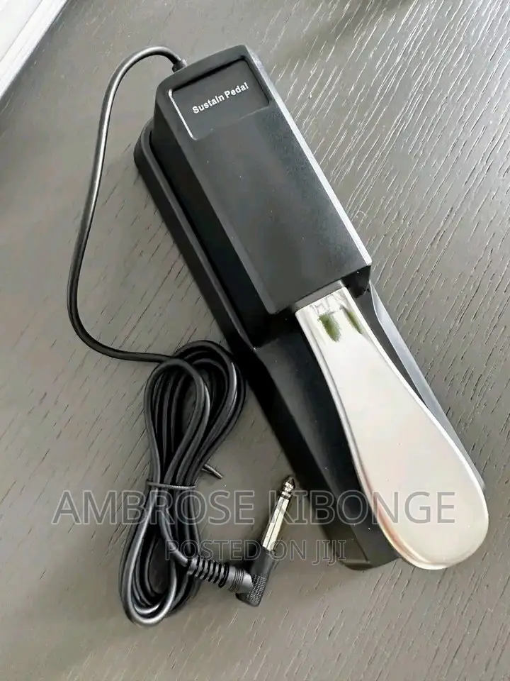Clear Sound Quality Universal Piano/Keyboard Sustain Pedal.