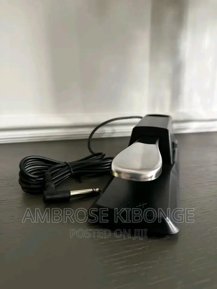 Clear Sound Quality Universal Piano/Keyboard Sustain Pedal.