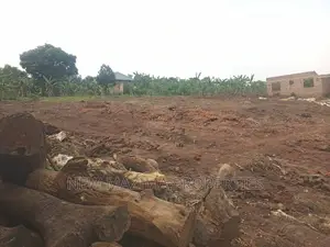 Matuga Kavule