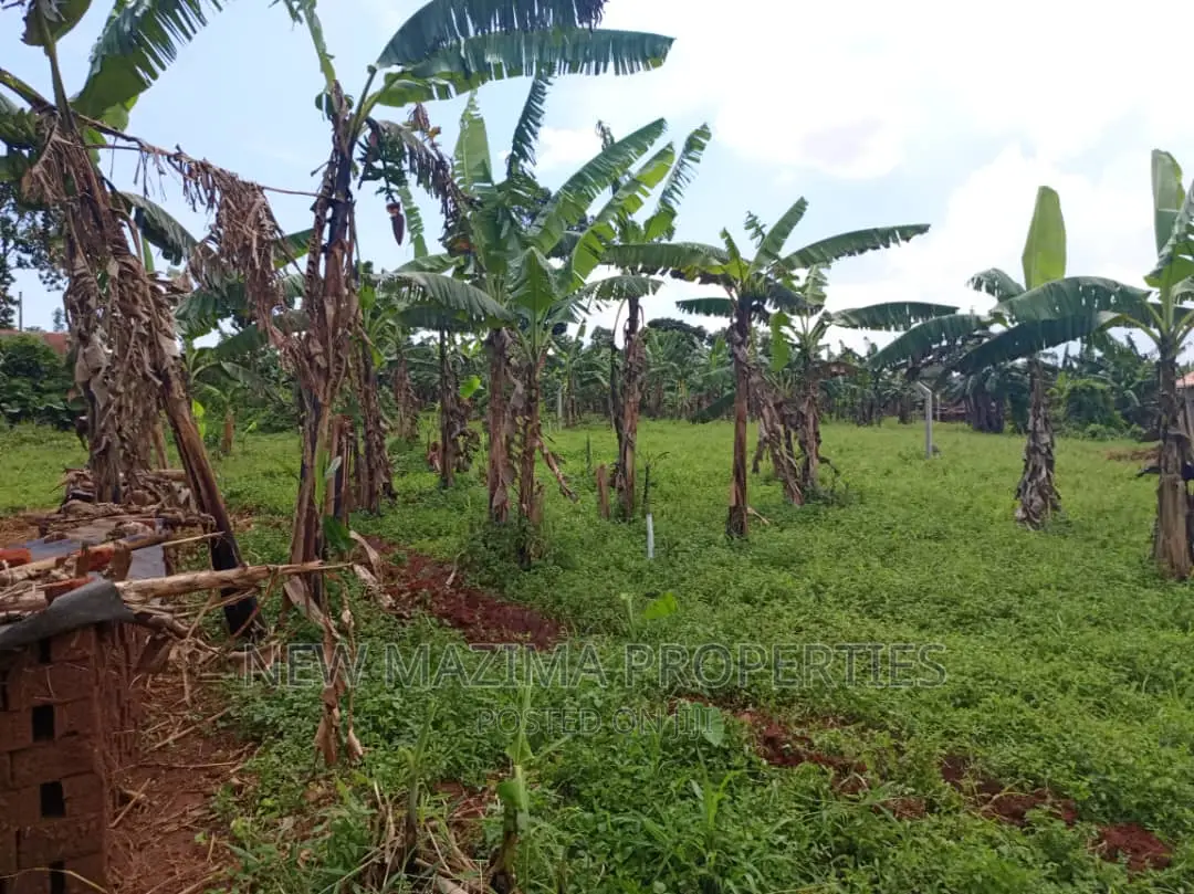 Arleady Private Mile Titled Plots Onsale Inheart of Nansana