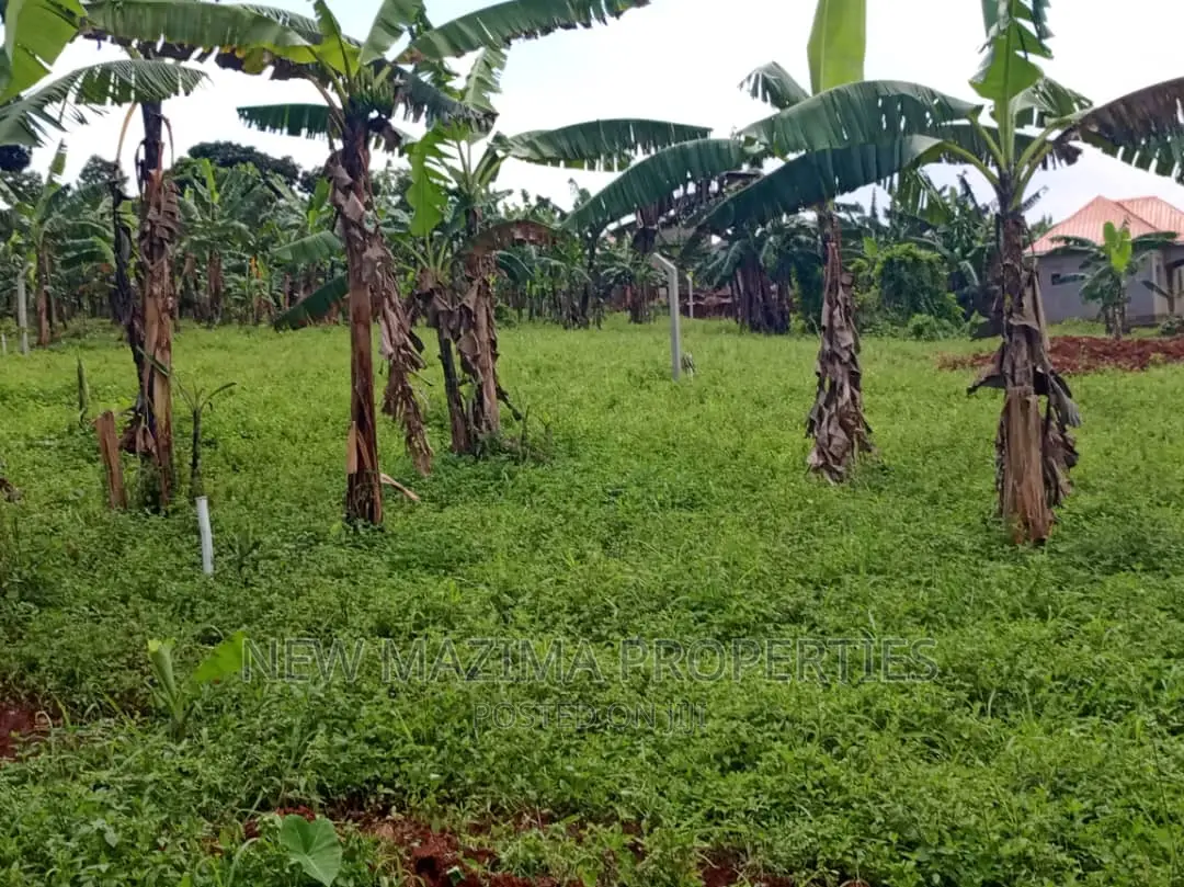 Arleady Private Mile Titled Plots Onsale Inheart of Nansana