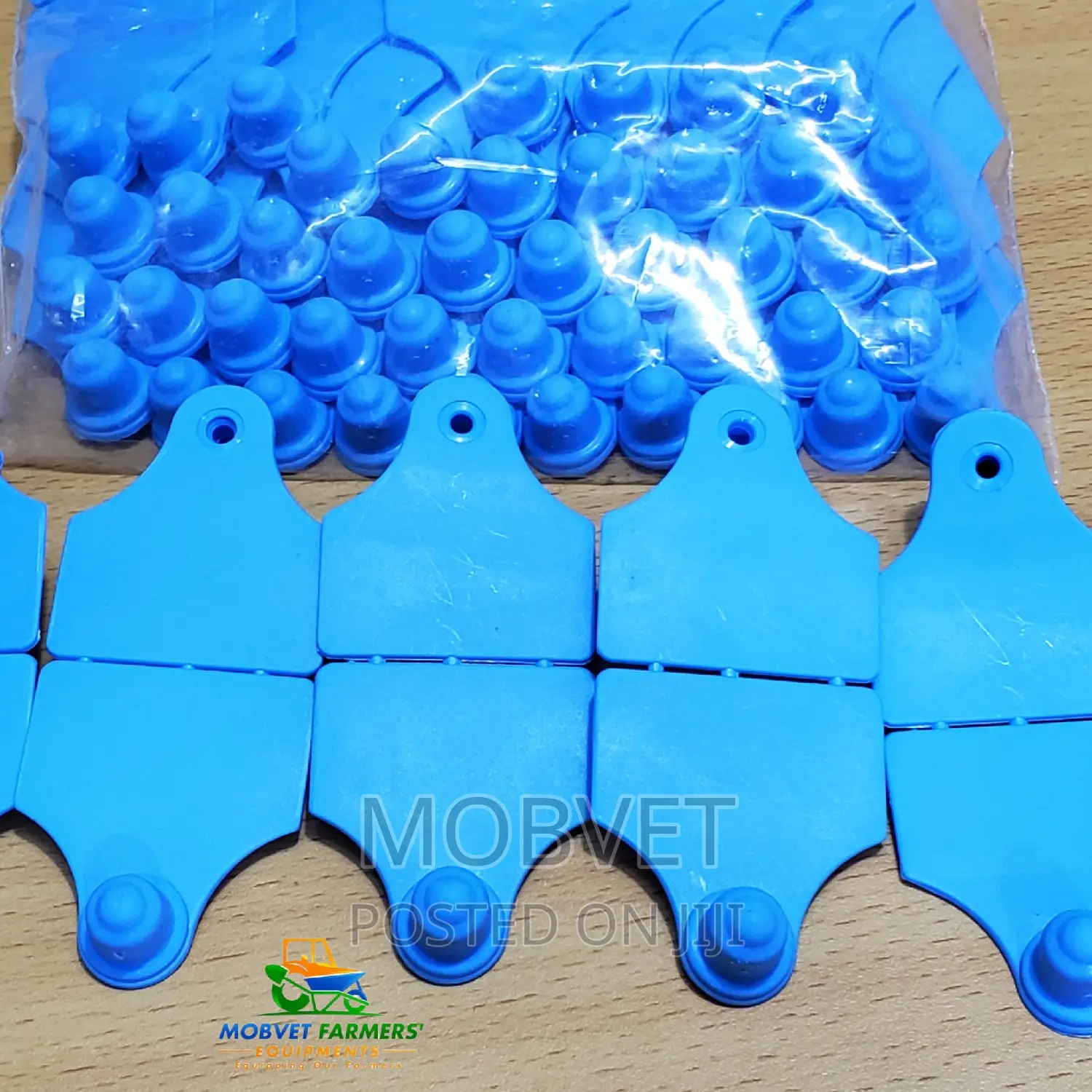 Double Eartags Blue Plain