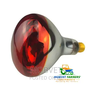 Infrared Brooder Lamps