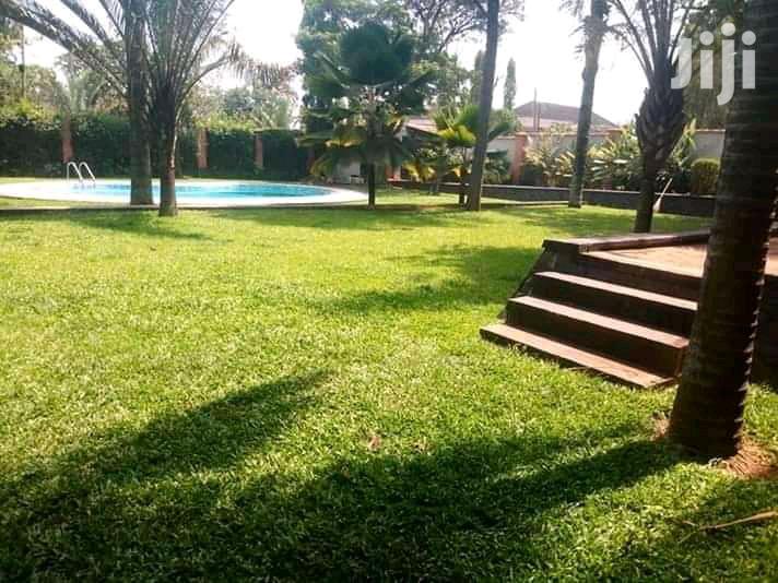 Four Bedroom House In Bugolobi For Rent