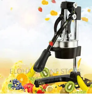 Stainless Steel Manual Hand Press Juicer