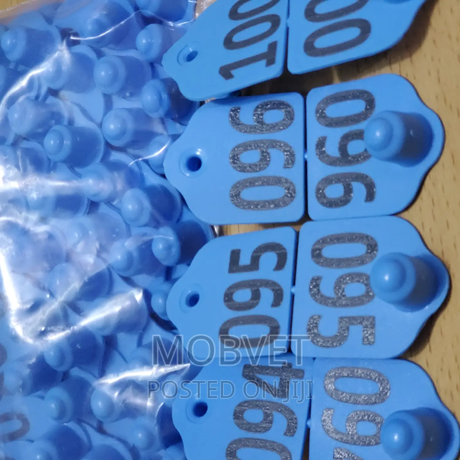 Double Eartags Numbered Blue Goats *