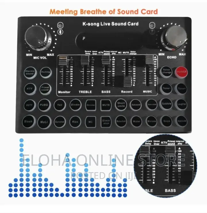 Live Sound Card