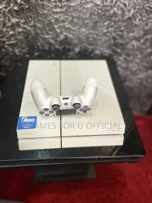 Ps4 Standard Unchipped #1