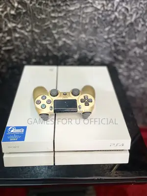 Ps4 Standard Unchipped #1