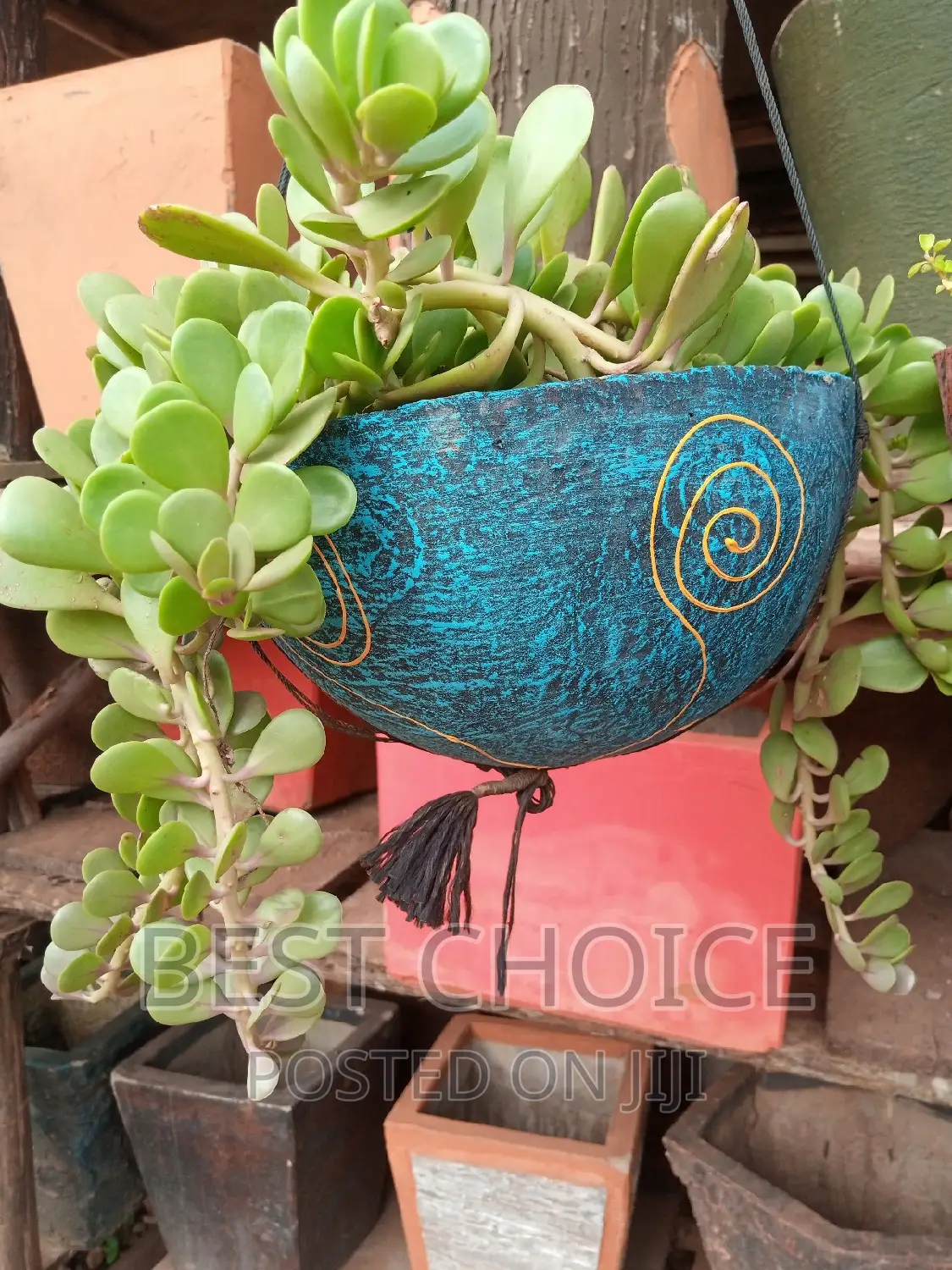 Elevate Your Green Space With Our Concrete Planters.