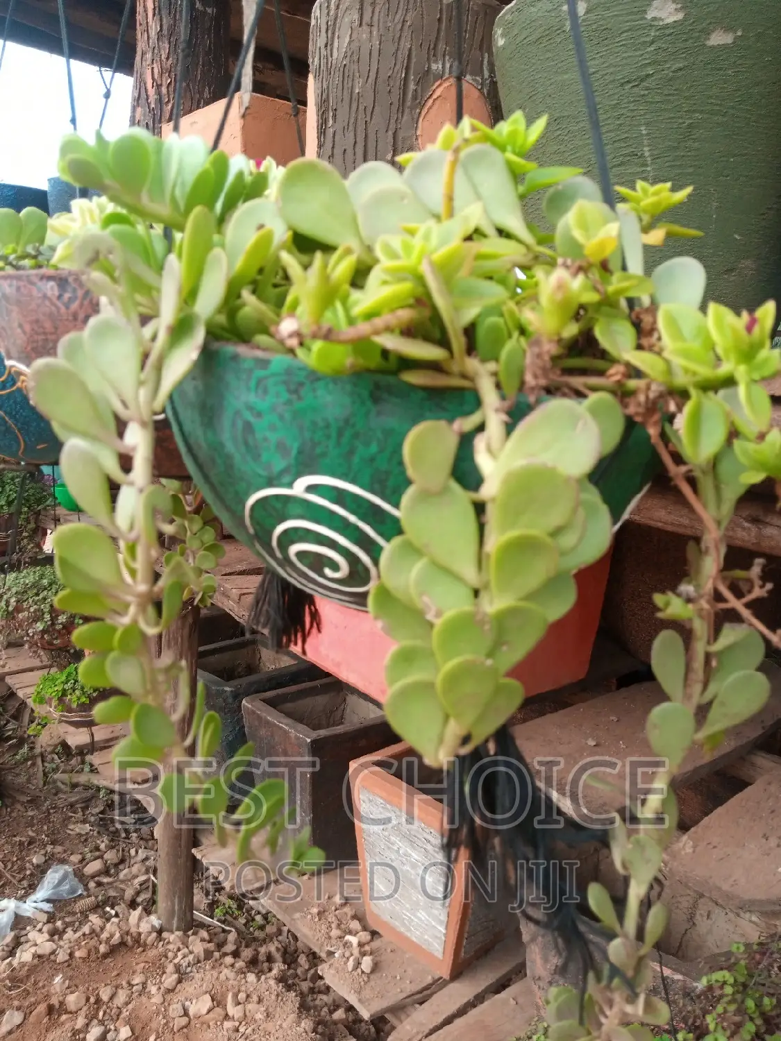 Elevate Your Green Space With Our Concrete Planters.