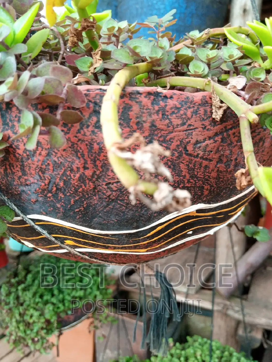 Elevate Your Green Space With Our Concrete Planters.