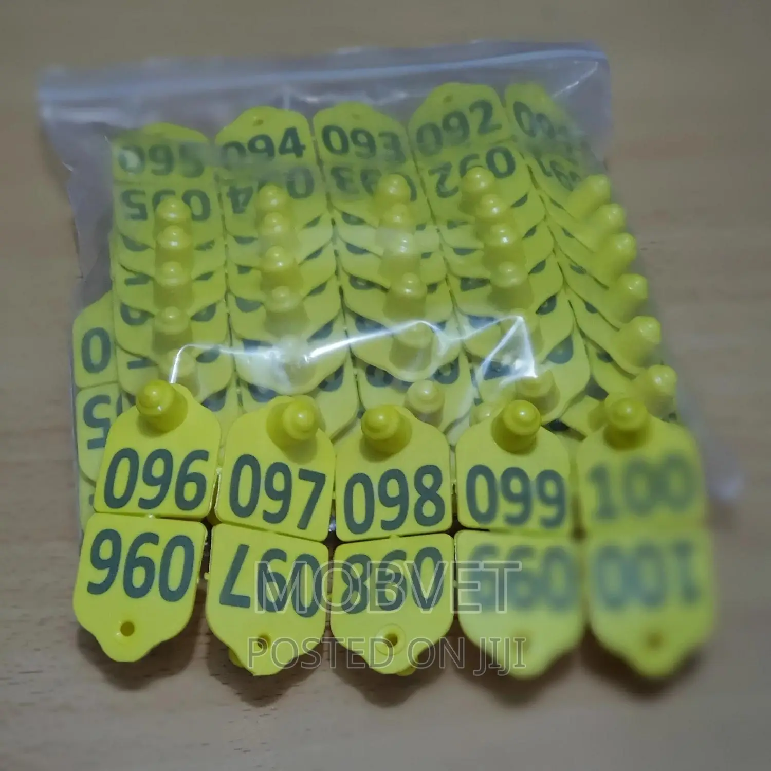 Double Eartags Numbered Yellow Cattle (Medium)