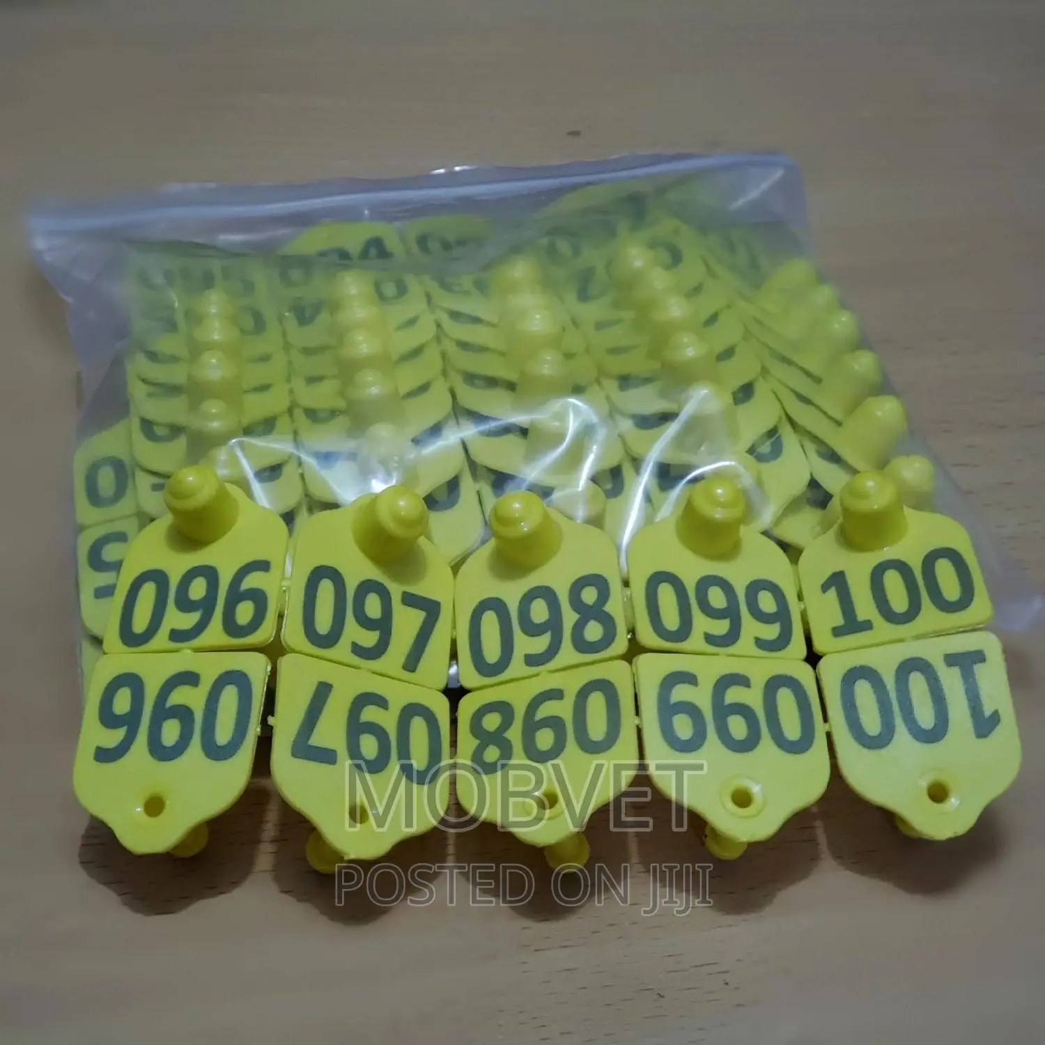 Double Eartags Numbered Yellow Cattle (Medium)