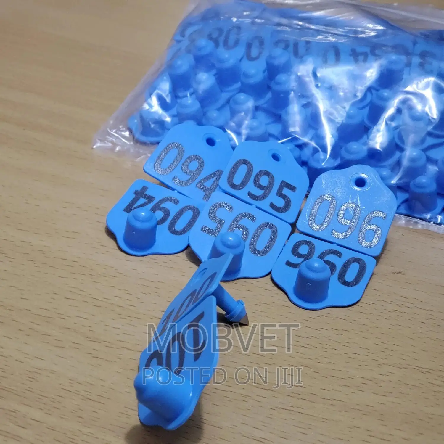 Double Eartags Numbered Blue Medium Size