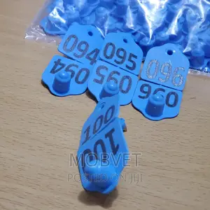 Double Eartags Numbered Blue Medium Size