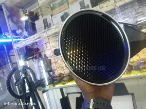 Beauty Dish