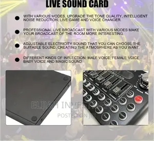Live Sound Card and BT Accomparliment Voice Mixer