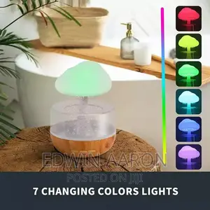 Cloud Rain Humidifier